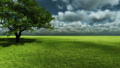  草地赛季全面开启，英国草地巡回赛迎来百位好手  